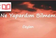 متن و ترجمه آهنگ Ne Yapardım Bilmem از Ceylan