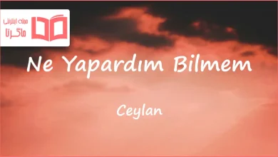 متن و ترجمه آهنگ Ne Yapardım Bilmem از Ceylan