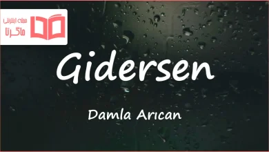 متن و ترجمه آهنگ Gidersen از Damla Arıcan