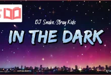 متن و ترجمه آهنگ In The Dark از DJ Snake و Stray Kids