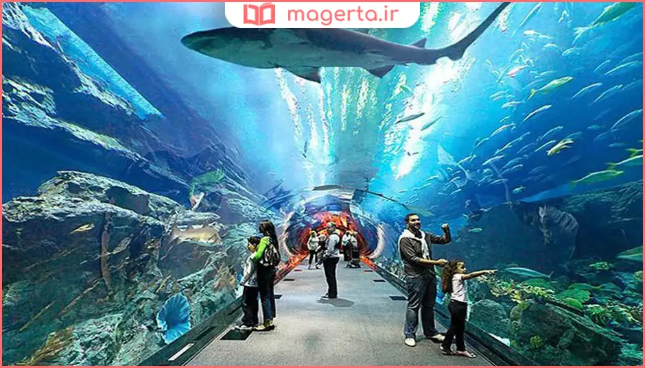 آکواریوم و باغوحش زیرآب دبی