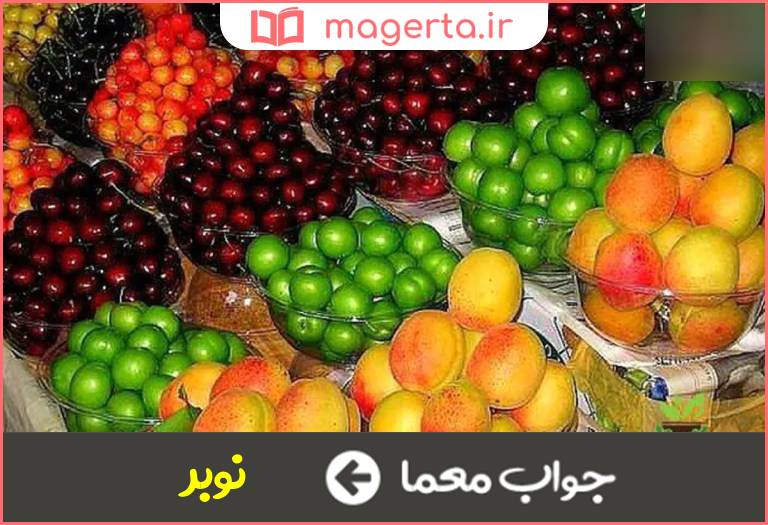 جواب معما میوه زودرس در جدول