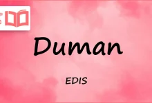 متن و ترجمه آهنگ Duman از EDIS
