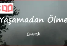 متن و ترجمه آهنگ Yaşamadan Ölme از Emrah