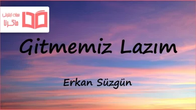 متن و ترجمه آهنگ Gitmemiz Lazım از Erkan Süzgün