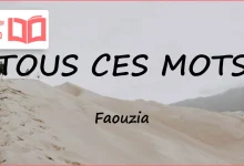 متن و ترجمه آهنگ TOUS CES MOTS از Faouzia
