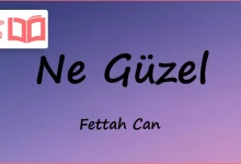 متن و ترجمه آهنگ Ne Güzel از Fettah Can