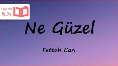 متن و ترجمه آهنگ Ne Güzel از Fettah Can