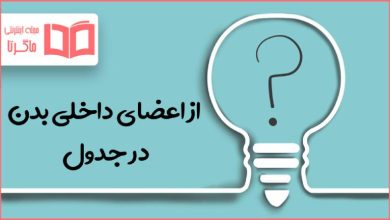 از اعضای داخلی بدن در جدول