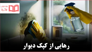 خداحافظی همیشگی با کپک دیوار در چند دقیقه