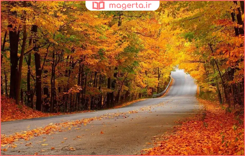 جنگل النگدره