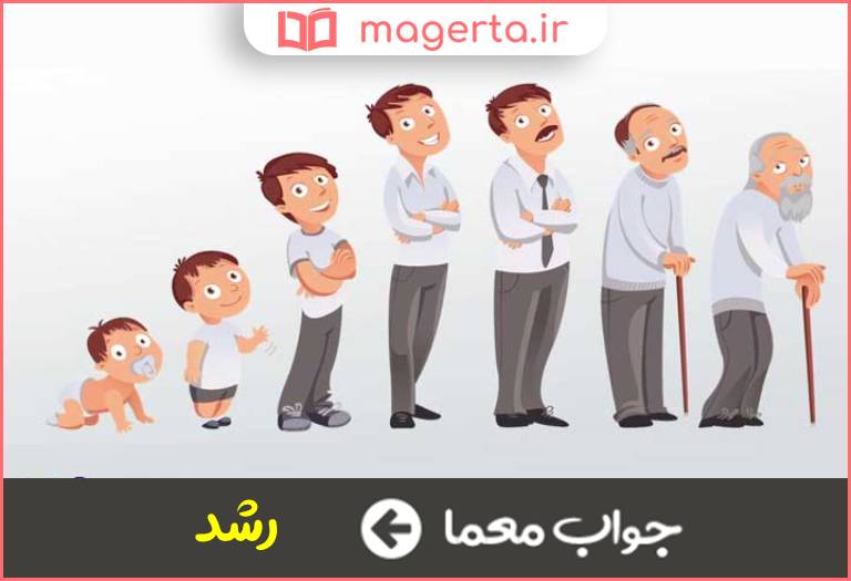 جواب معما بزرگ شدن در جدول
