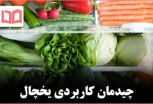 ۶ روش‌ کاربردی برای داشتن یخچالی مرتب و قابل دسترس