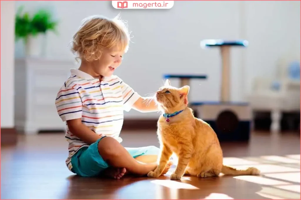 کودک و گربه مشغول بازی با توپ کوچک رنگی