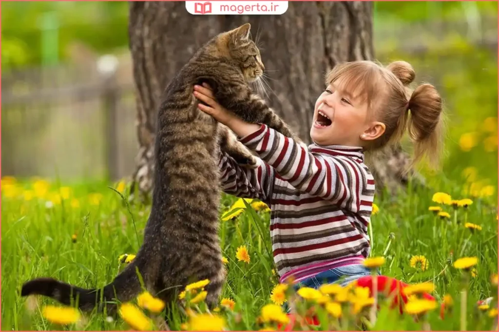 صاحب گربه در حال استفاده از لیزر برای سرگرمکردن حیوان