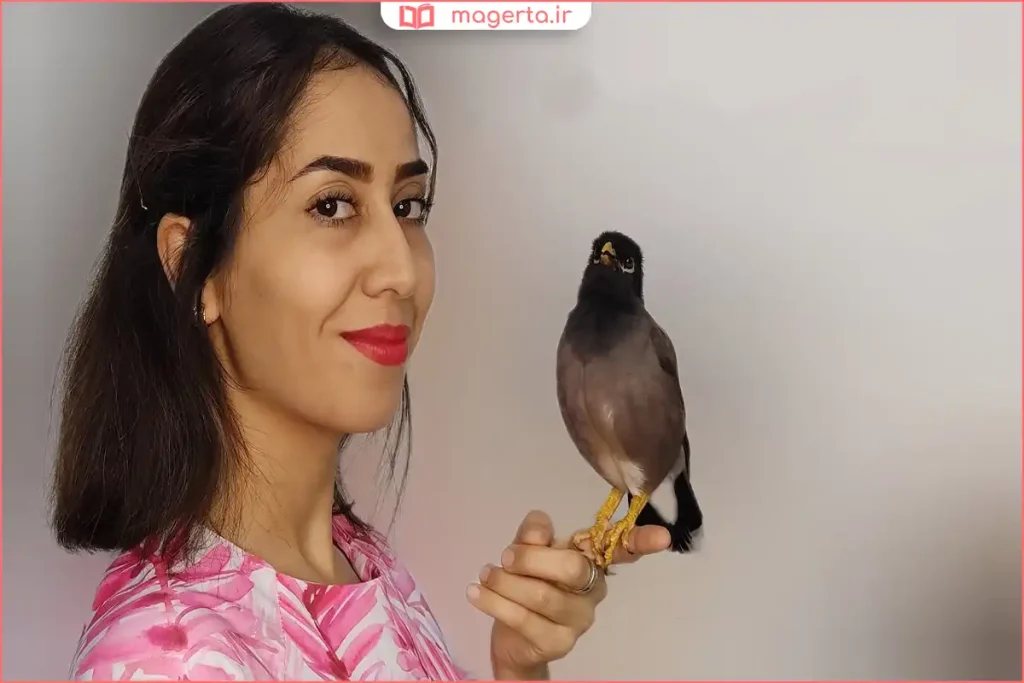 مرغ مینا روی دست صاحبش در حال برقراری ارتباط دوستانه