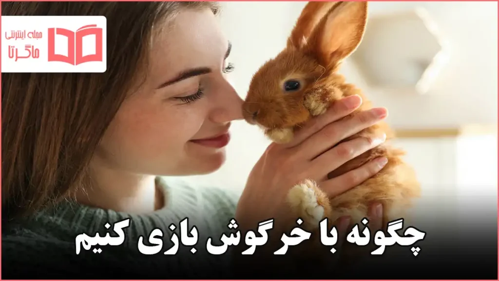 چگونه با خرگوش بازی کنیم