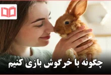 چگونه با خرگوش بازی کنیم
