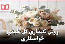 روش نگهداری گل طبیعی خواستگاری
