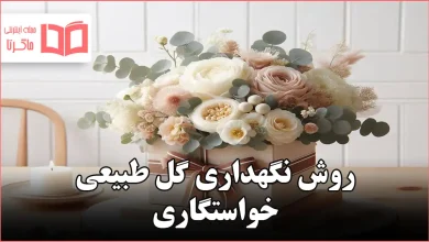 روش نگهداری گل طبیعی خواستگاری