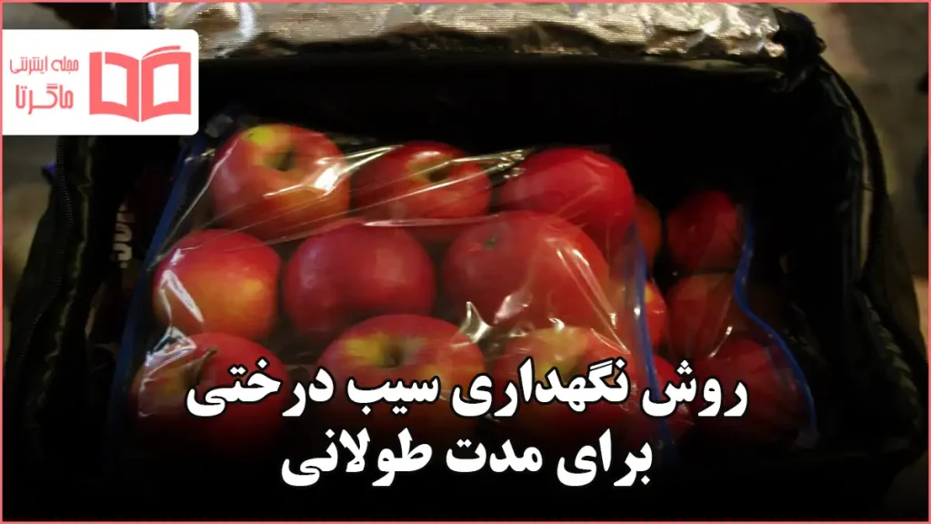 روش نگهداری سیب درختی برای مدت طولانی