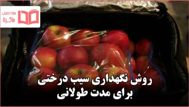 روش نگهداری سیب درختی برای مدت طولانی