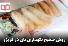 روش صحیح نگهداری نان در فریزر