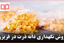 روش نگهداری دانه ذرت در فریزر