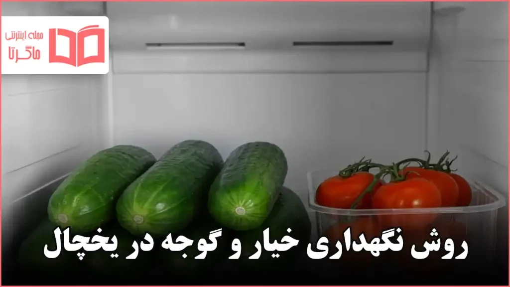 روش نگهداری خیار و گوجه در یخچال