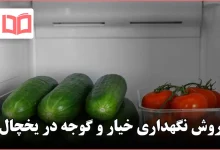 روش نگهداری خیار و گوجه در یخچال