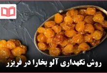 روش نگهداری آلو بخارا در فریزر