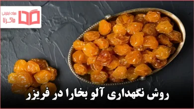 روش نگهداری آلو بخارا در فریزر