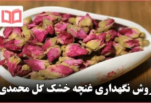 روش نگهداری غنچه خشک گل محمدی