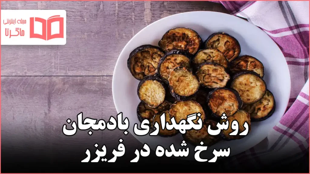 روش نگهداری بادمجان سرخ شده در فریزر