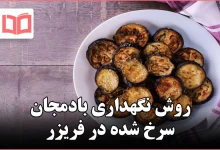 روش نگهداری بادمجان سرخ شده در فریزر