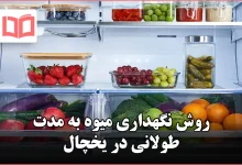 روش نگهداری میوه به مدت طولانی در یخچال