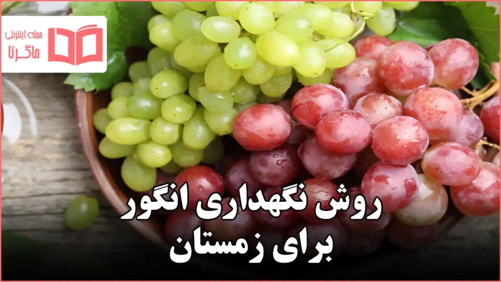 روش نگهداری انگور برای زمستان