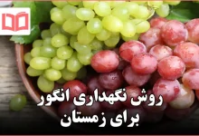 روش نگهداری انگور برای زمستان