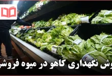 روش نگهداری کاهو در میوه فروشی