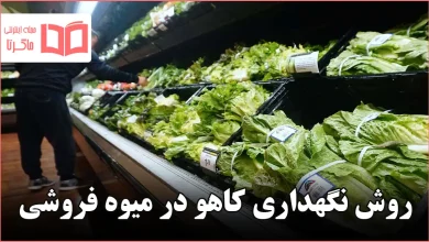 روش نگهداری کاهو در میوه فروشی