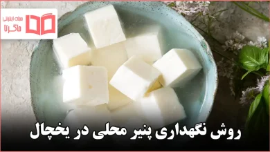 روش نگهداری پنیر محلی در یخچال
