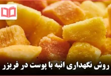 روش نگهداری انبه با پوست در فریزر