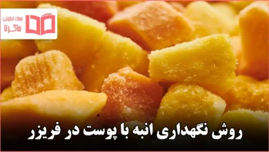 روش نگهداری انبه با پوست در فریزر