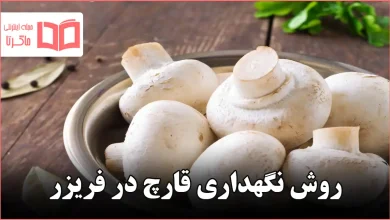روش نگهداری قارچ در فریزر