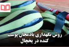 روش نگهداری بادمجان پوست کنده در یخچال