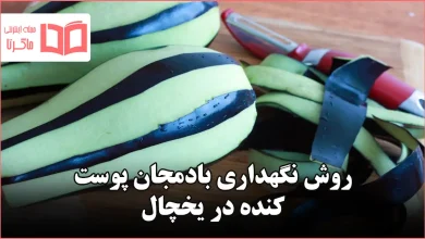 روش نگهداری بادمجان پوست کنده در یخچال