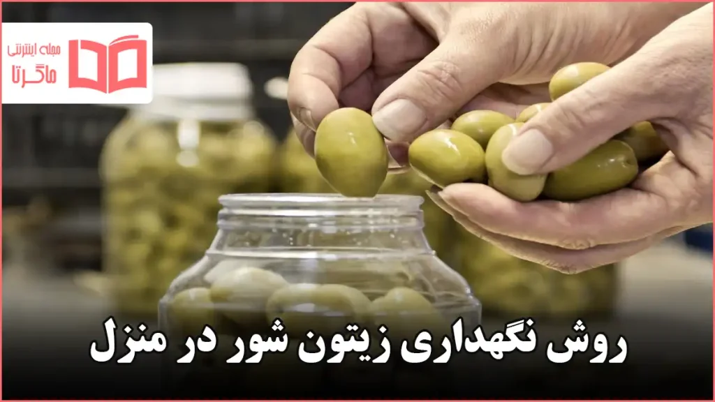 روش نگهداری زیتون شور در منزل