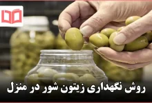 روش نگهداری زیتون شور در منزل