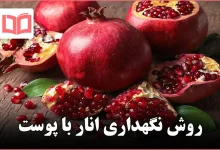 روش نگهداری انار با پوست