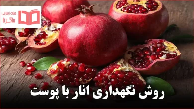 روش نگهداری انار با پوست